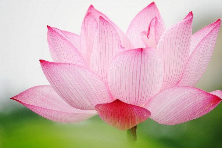 ОН-ЛАЙН КУРС 